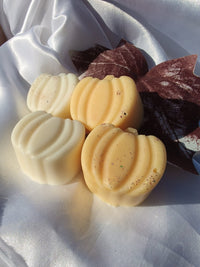 wax melts Pumpkin Spice