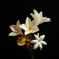 Vela japonesa Hanami