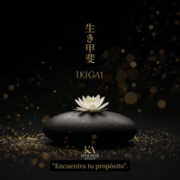 Vela japonesa - Ikigai